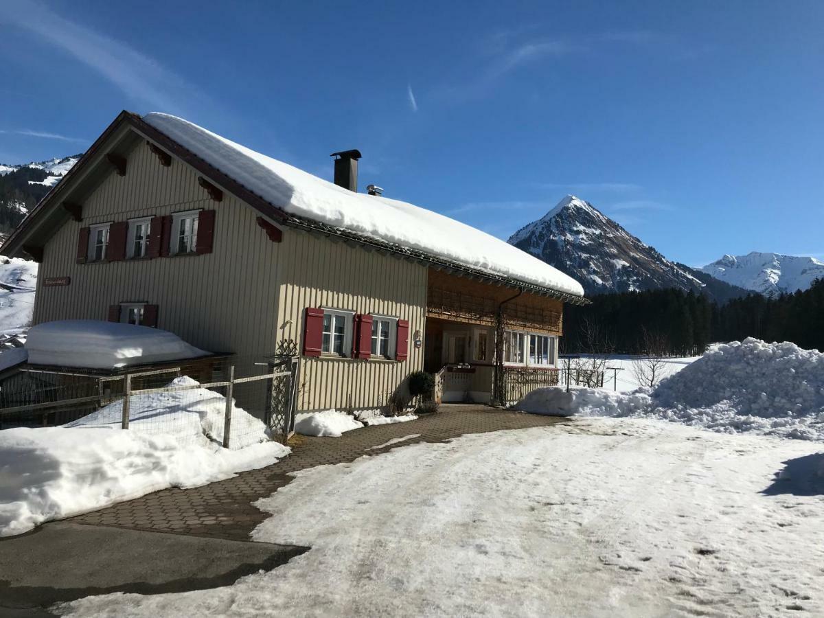 Haus Stabentheiner Apartment Au (Vorarlberg) Bagian luar foto