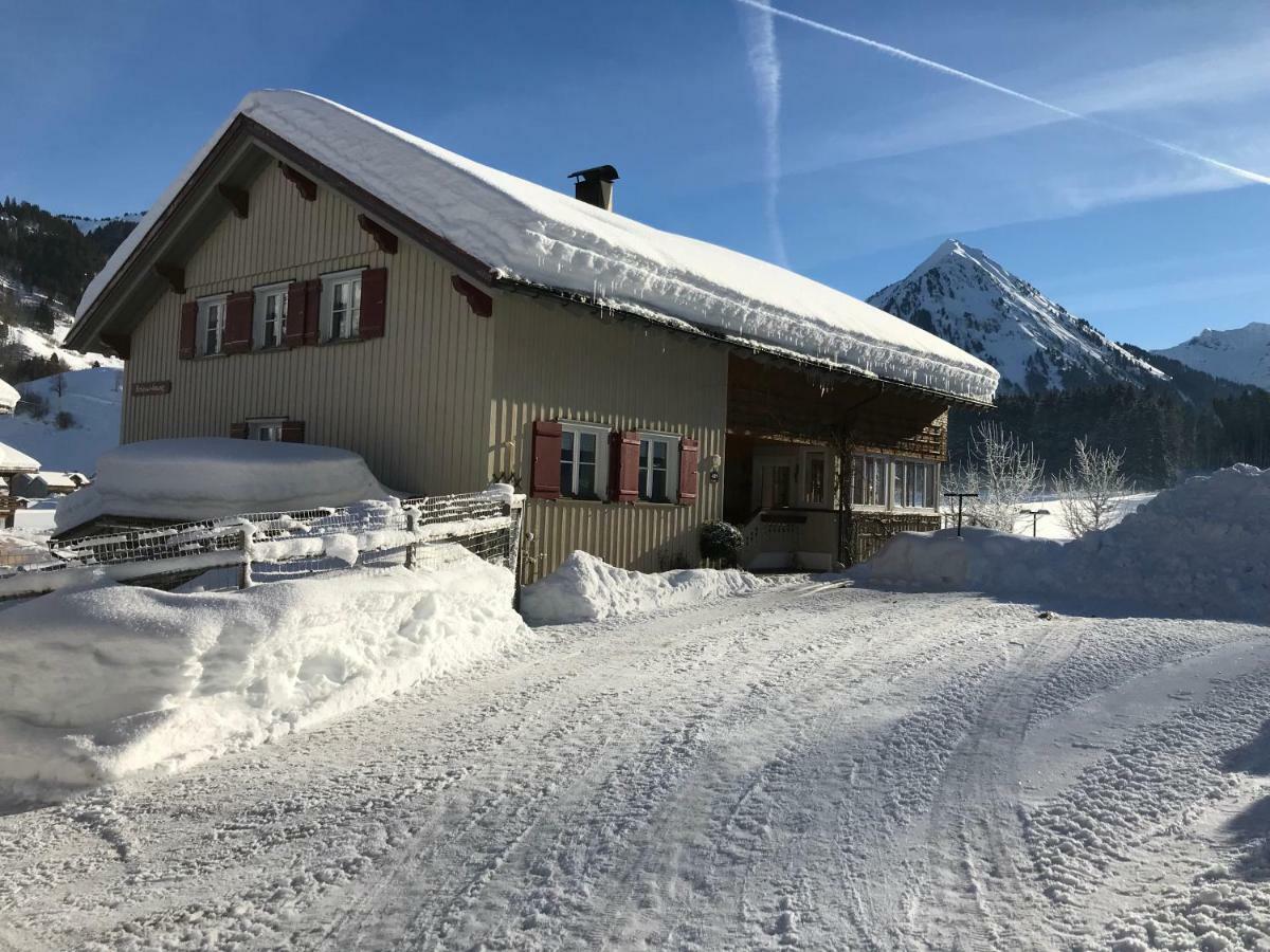 Haus Stabentheiner Apartment Au (Vorarlberg) Bagian luar foto
