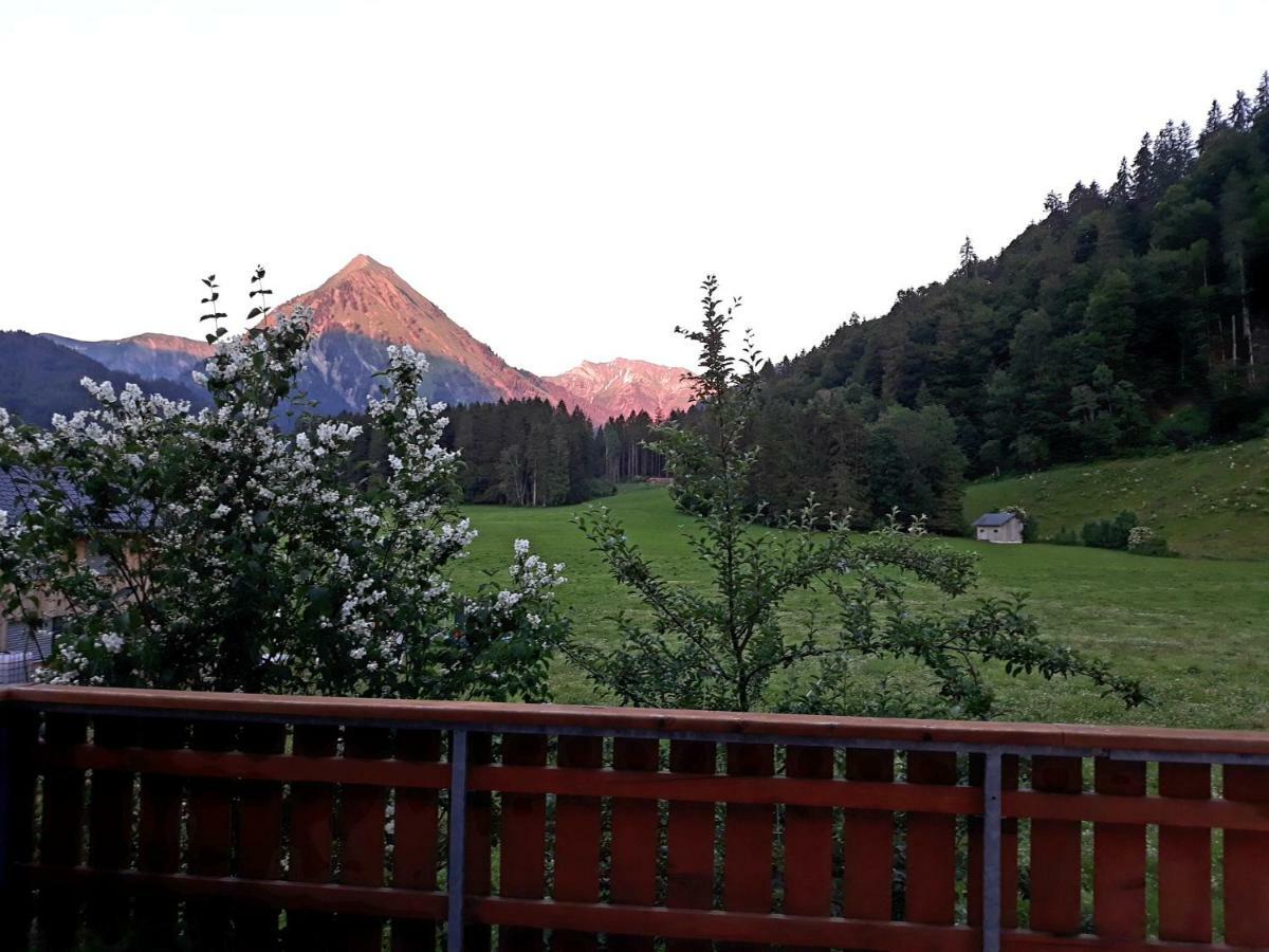 Haus Stabentheiner Apartment Au (Vorarlberg) Bagian luar foto